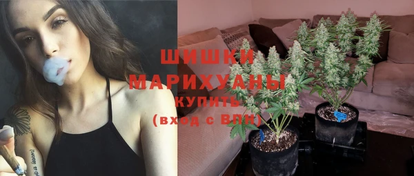 apvp Осташков